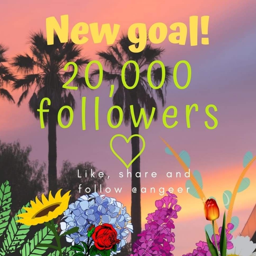 YAY! New Goal 20,000